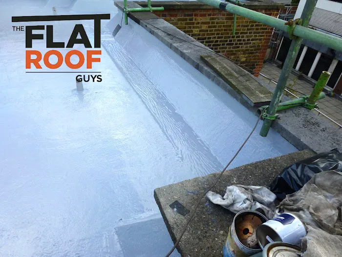 The Flat Roof Guys Picture 7