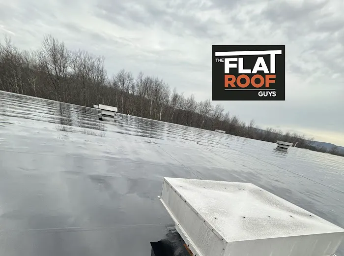 The Flat Roof Guys Picture 8