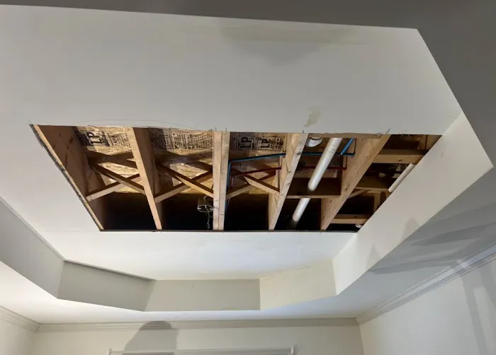 I Know a Guy Picture 3