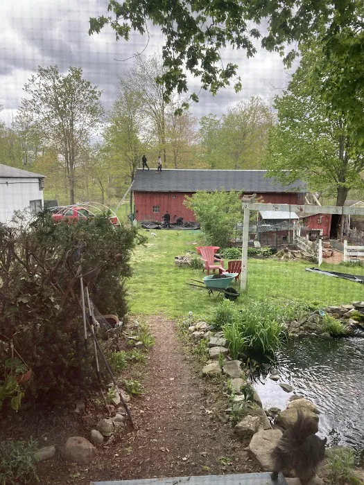 Experior Roofing and Restoration LLC Picture 4