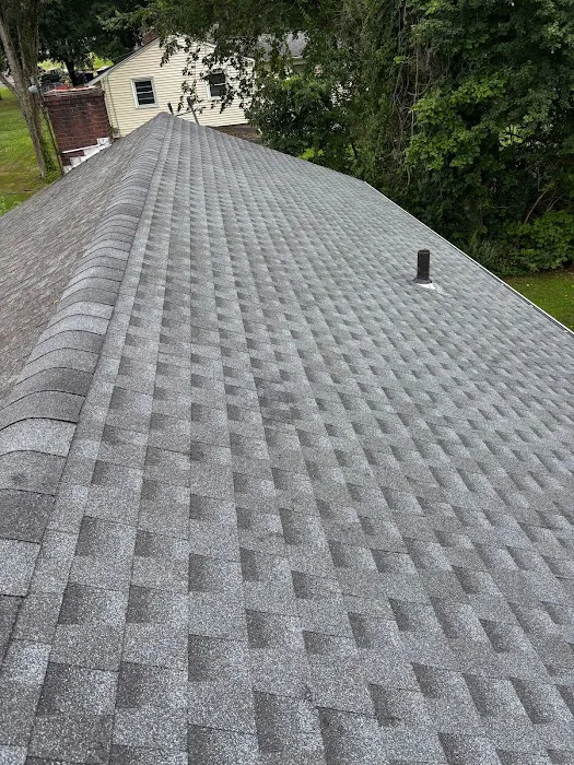 Fiderio & Sons Picture 3