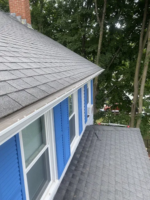 Gandolfo Gutters Picture 6