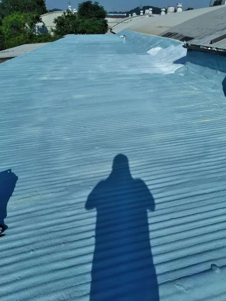 Mccoy Roofing & Solutions Picture 3
