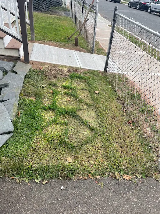 Contento Development Picture 8