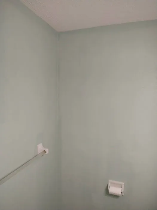 IronClad Painitng and Remodeling LLP Picture 9