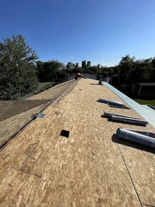 TrinkleyRoofing Picture 8