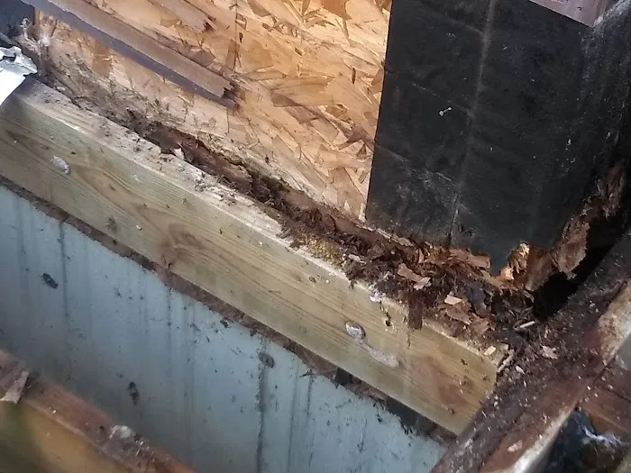 Kyle Campbell exterior solutions Picture 6