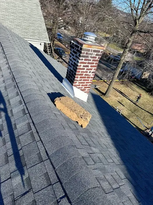CJ's Roofing Vet Owned Picture 8
