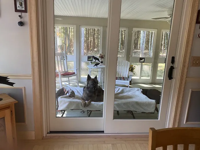 Renewal by Andersen Window Replacement Picture 2