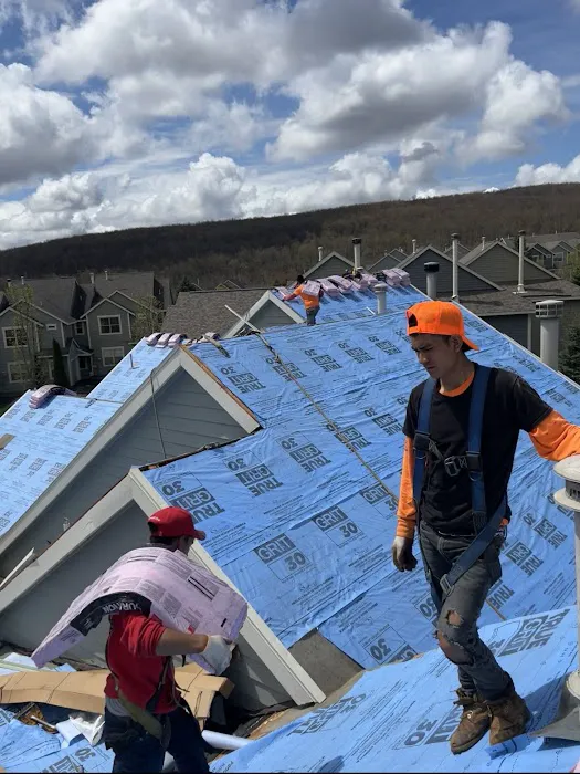 BG Roofing Picture 6
