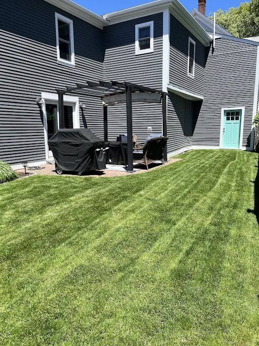 Politis Painting Picture 6