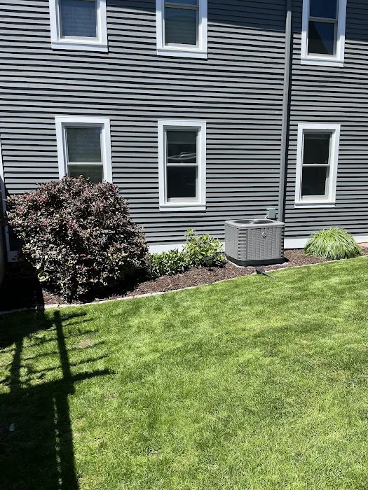 Politis Painting Picture 7