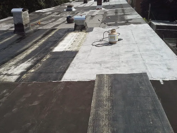 Herman Roofing Picture 10