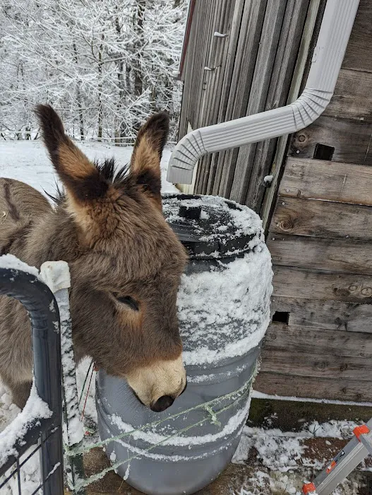 Neathawk Seamless Gutters Picture 10