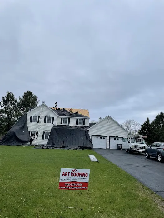 Art Roofing Picture 6