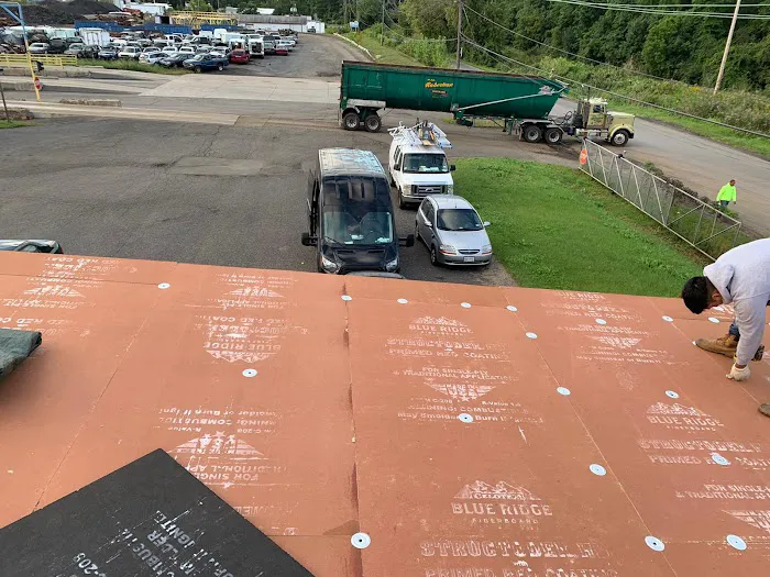 Art Roofing Picture 7