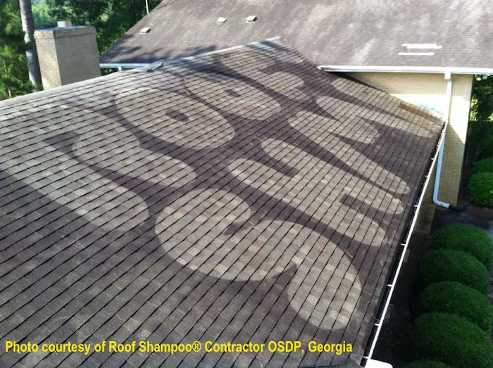 Exterior Surface-Brite Inc. / Roof Shampoo Picture 2