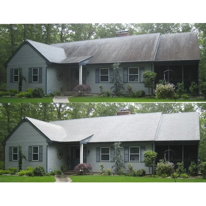 Exterior Surface-Brite Inc. / Roof Shampoo Picture 3