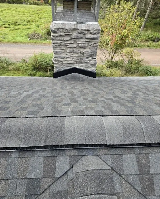 Green Rhino Roofing and Siding Picture 1