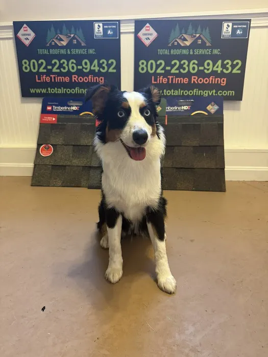 Total Roofing & Service Inc. Picture 6