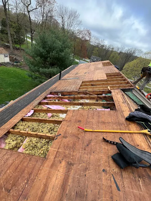 Construction Mutants LLC Picture 4