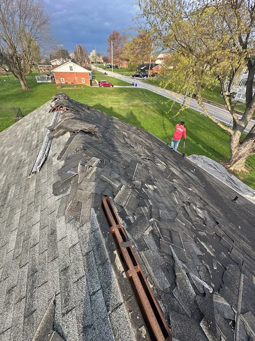 Seipp Roofing, LLC Picture 5