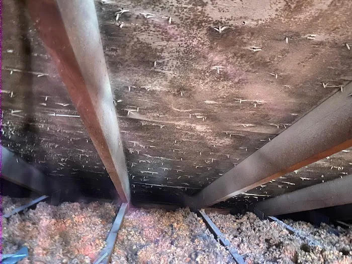 Sweet home Construction LLC Picture 10