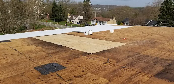 Alpha Roof Restoration and Consulting Picture 2