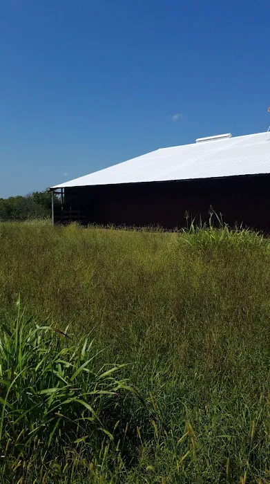 Alpha Roof Restoration and Consulting Picture 4