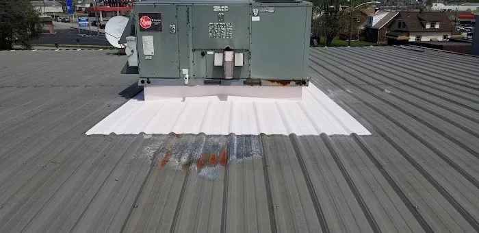 Alpha Roof Restoration and Consulting Picture 3