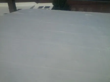 Future Roofing Systems Picture 3