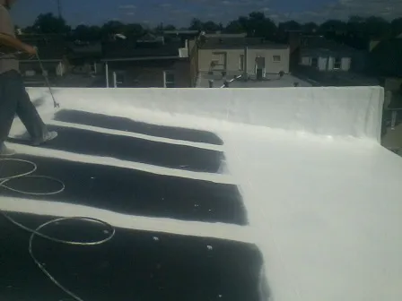 Future Roofing Systems Picture 5