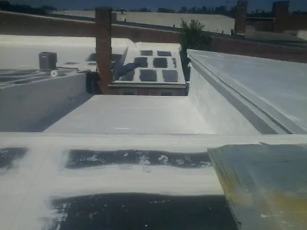 Future Roofing Systems Picture 4