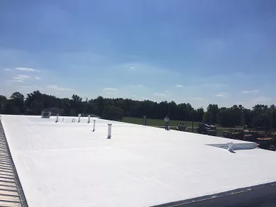 Future Roofing Systems Picture 2