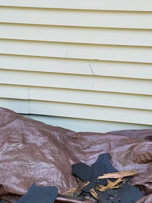 Armor Shield Exteriors Picture 1