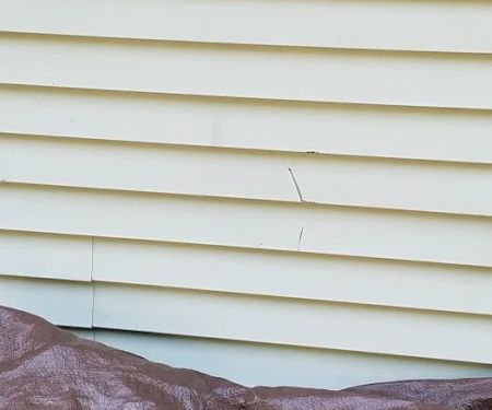 Armor Shield Exteriors