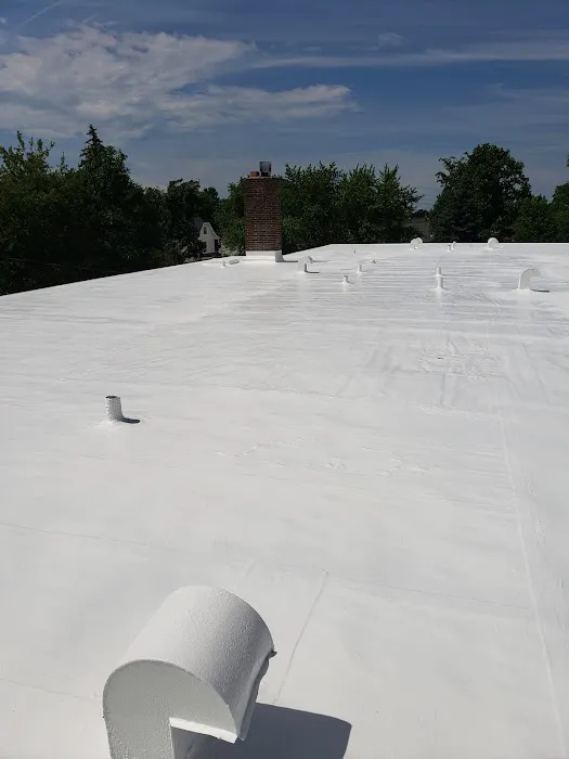 Advanced Roofing and Waterproofing Picture 2