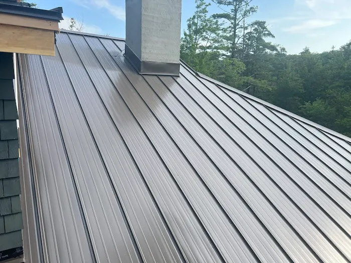 Encore Metal Roofing Picture 6