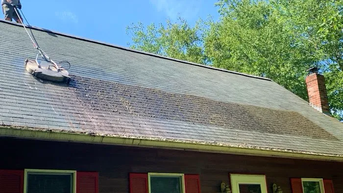 Shingle Rescue LLC Picture 3