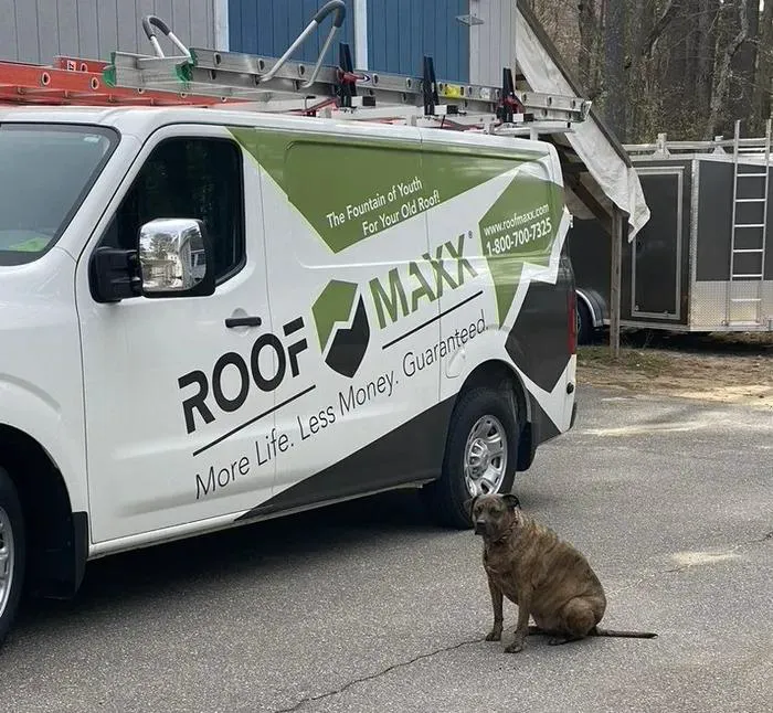 Shingle Rescue LLC Picture 4
