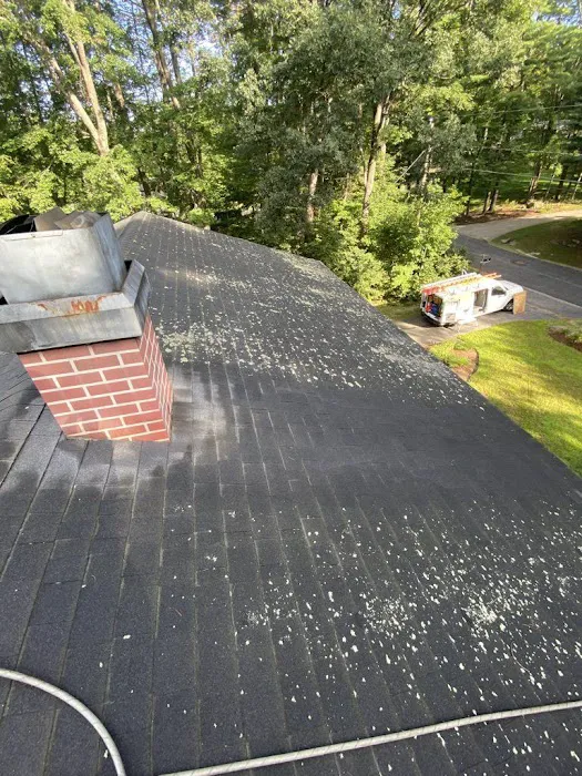 Shingle Rescue LLC Picture 1