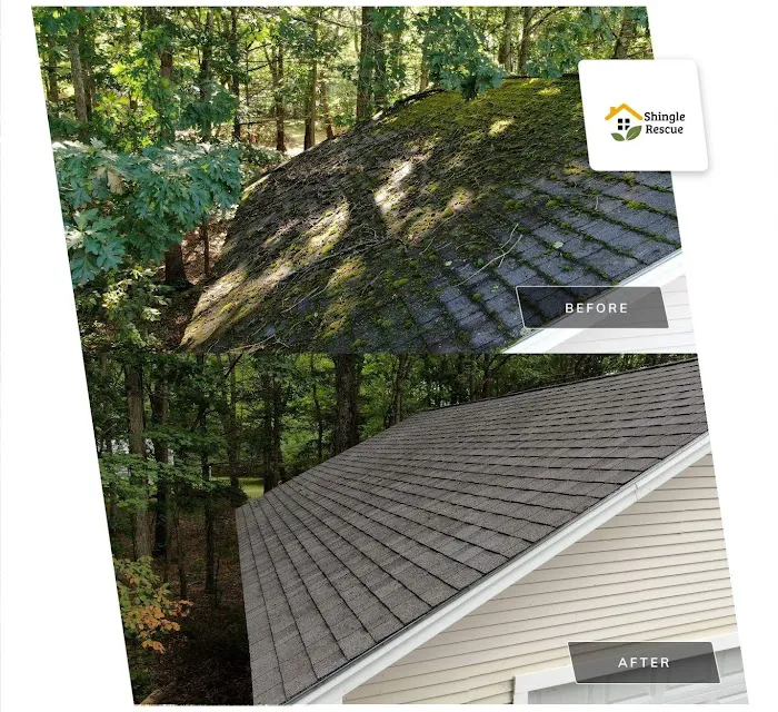 Shingle Rescue LLC Picture 5