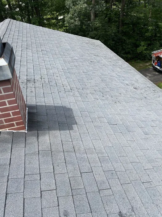Shingle Rescue LLC Picture 6