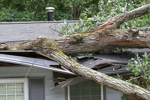 Rodgers Roofing & Remodeling Picture 9