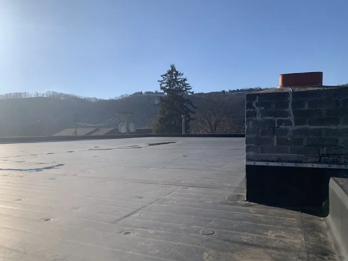 Mario Contracting Picture 3