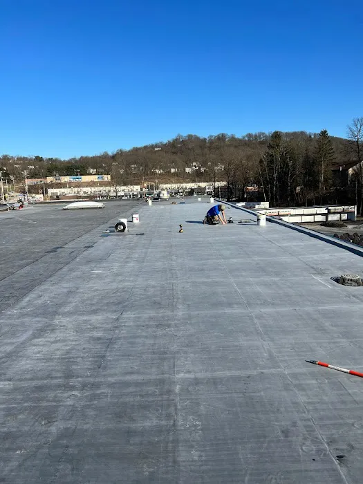 Mario Contracting Picture 7