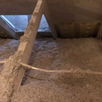 True Building Performance ico