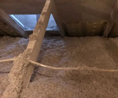 True Building Performance