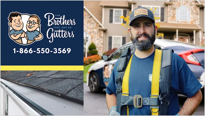 The Brothers That Just Do Gutters Picture 10