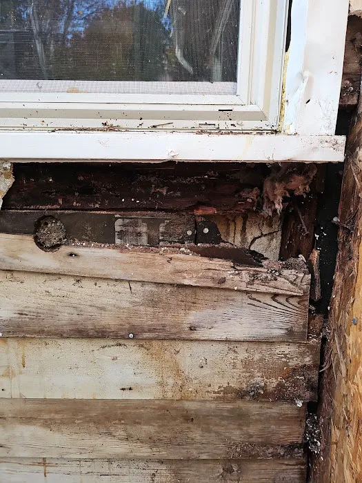 Window World of the Capital District Picture 6